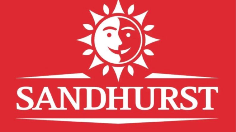Ben markanız için logo tasarlayabilirim