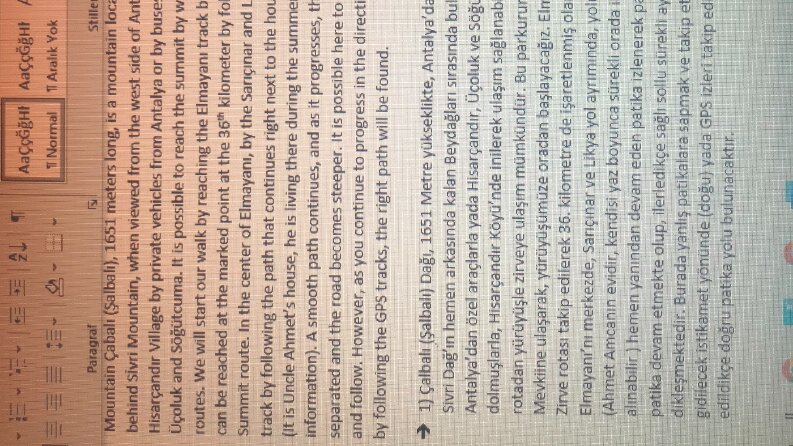 Essay Çevirisi