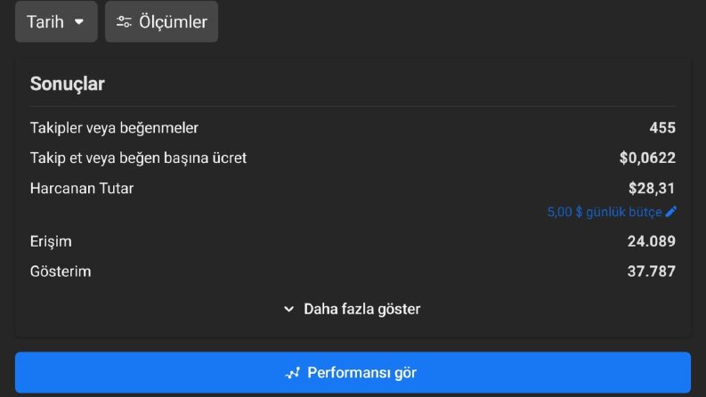 Amerikan firmasına verdiğim hizmet
