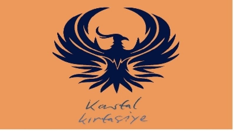 Markalara özel logo tasarımı 