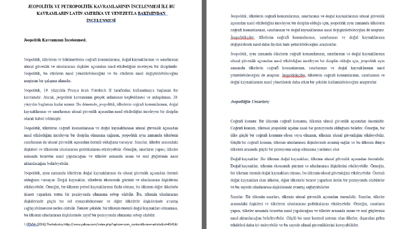 Uzman makale, araştırma metni ve katalog içeriği yazarı