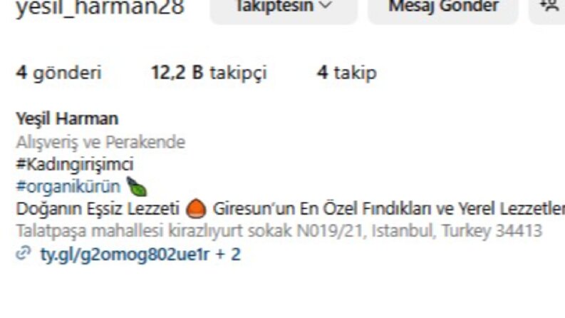Organik Gerçek takipçi Hizmetimiz