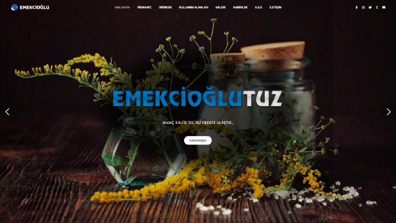 Wordpress Web Tasarımı