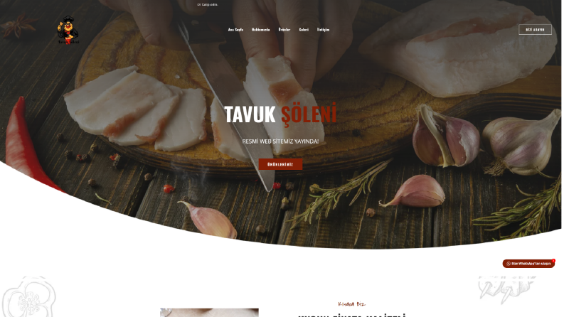 wordpress site tasarımı