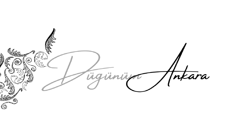 Düğünüm Ankara Logo Çalışması
