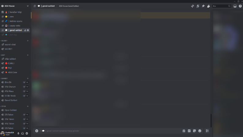Discord Sunucusu Örnekleri