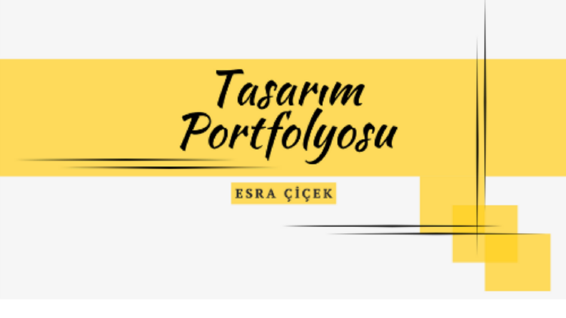 Ben size profesyonel cv ve portfolyo tasarlıyorum