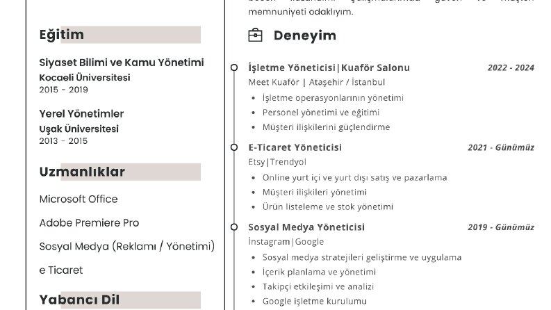 Cv - Özgeçmiş Örneği