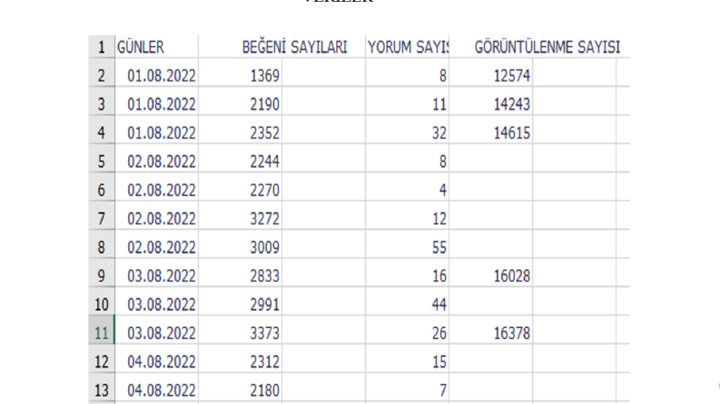DATA ANALİZ UZMANI