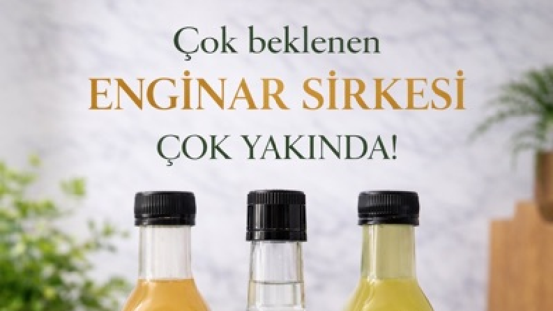 SOSYAL MEDYA YÖNETİMİ