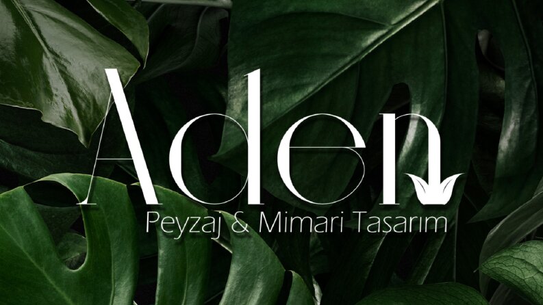 Logo ve çeşitli tasarımlarımız