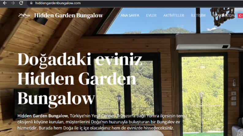 Web Sitesi Tasarımı