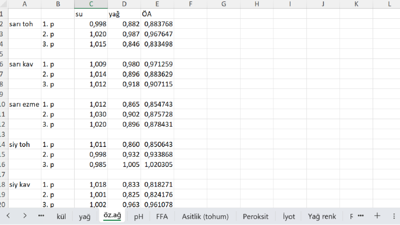 Excel Çalışması