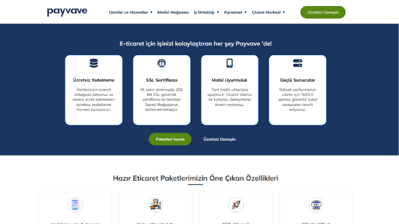 Payvave | Kurumsal Web Sayfası