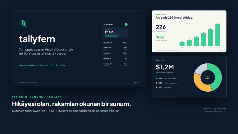 tallyfern · Yatırımcı sunumu, 11 slayt