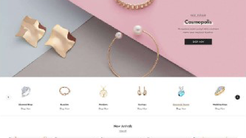 Shopify Website Tasarımı