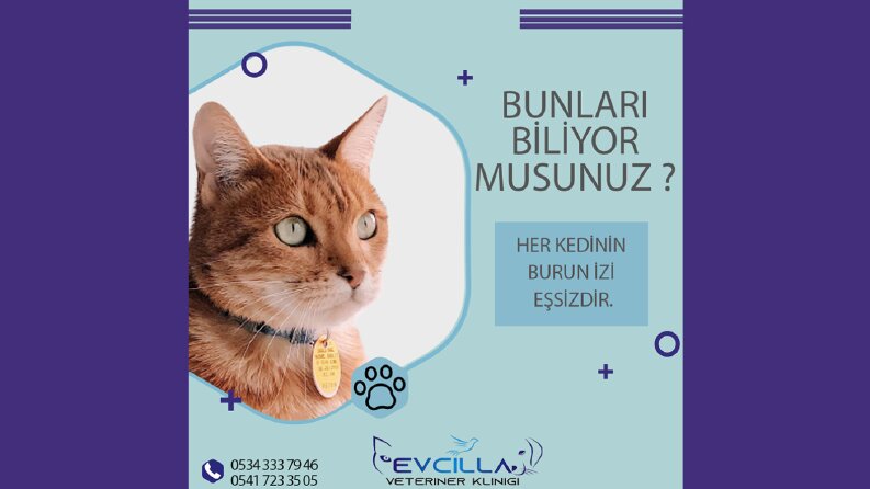 Sosyal Medya Tasarımları