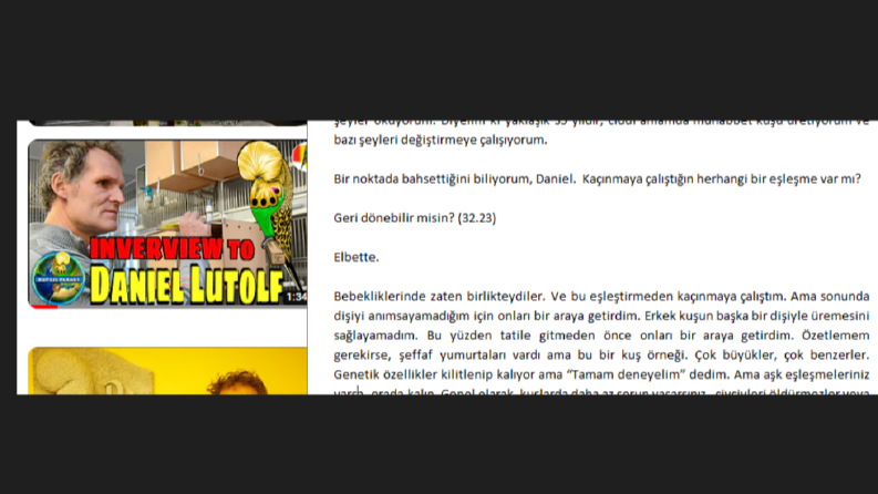 İngilizce Röportajın Deşifresi ve Türkçe çeviri metni