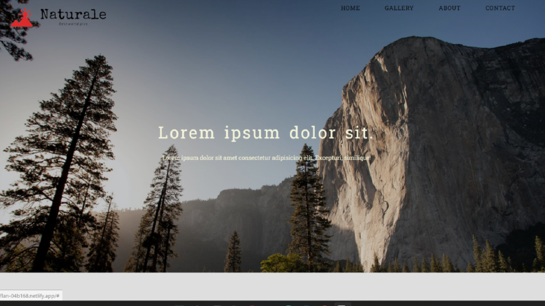 Statik Web Sitesi
