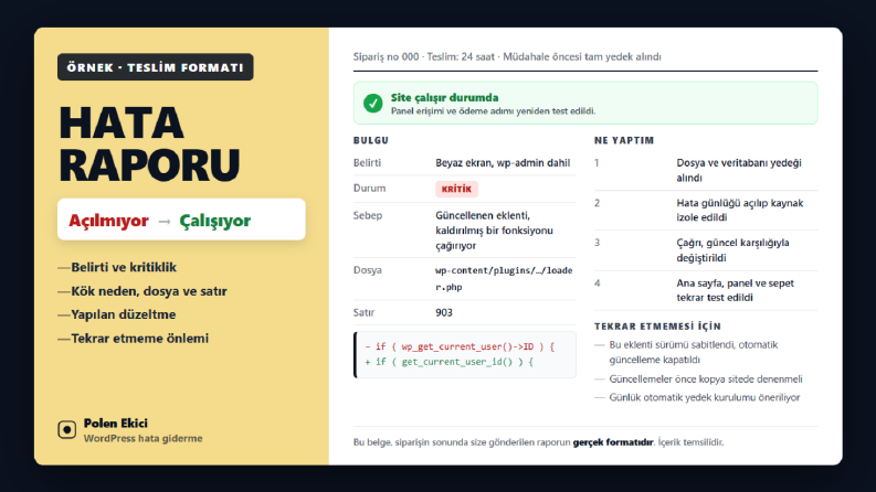 Beyaz Ekrandan Çalışan Siteye — Hata Teşhis Raporu (Demo)