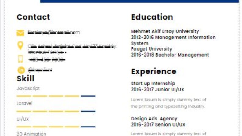 İngilizce ve Türkçe dillerinde Profesyonel Cv