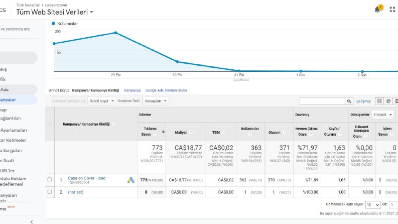 Google Analytics Verileri