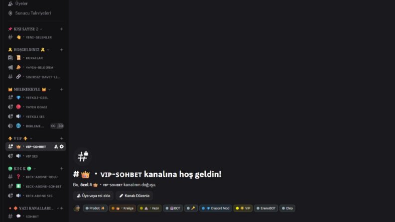 Yayıncılara özel profesyonel Discord sunucusu örneği. 
