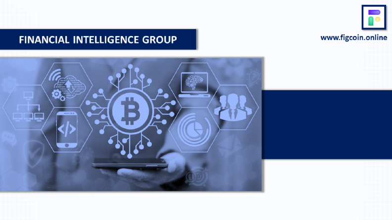 Financial Intelligence Group - Kurumsal Sunum