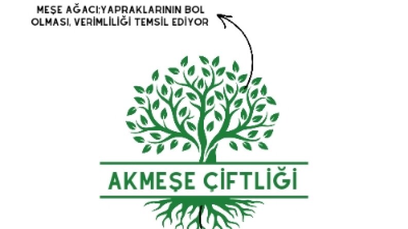 Bazı Logo Tasarımlarım