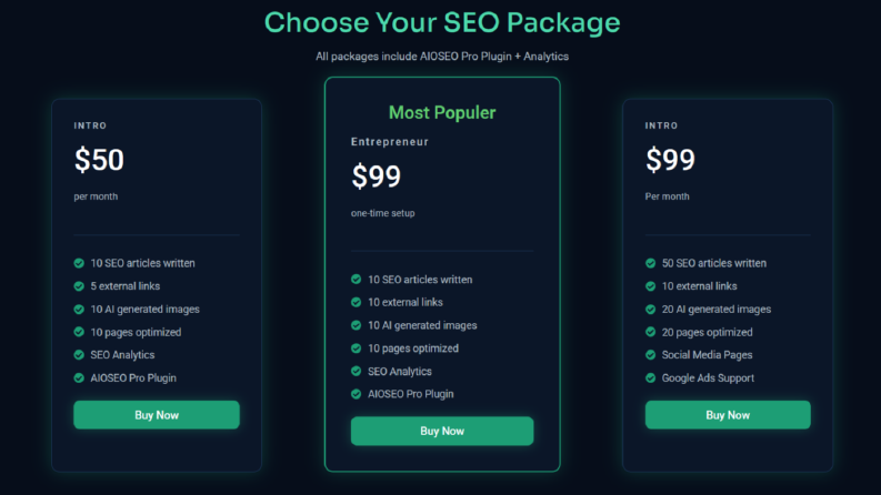Modern SEO Paket Tasarım Arayüzü (UI/UX & WordPress)