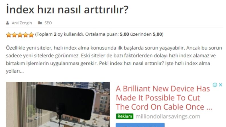 "anilzengin.blog"