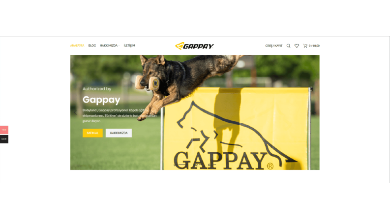 Gappay Web Sitesi