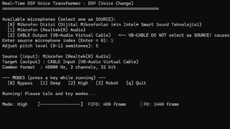 Voice Transformer