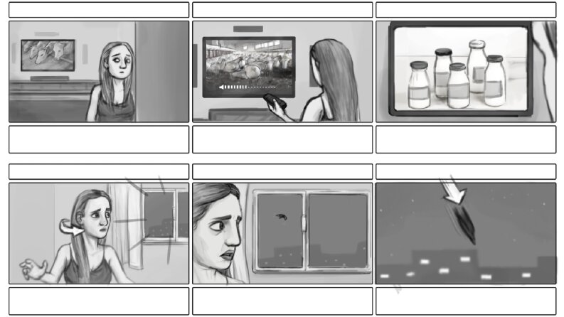 Storyboard