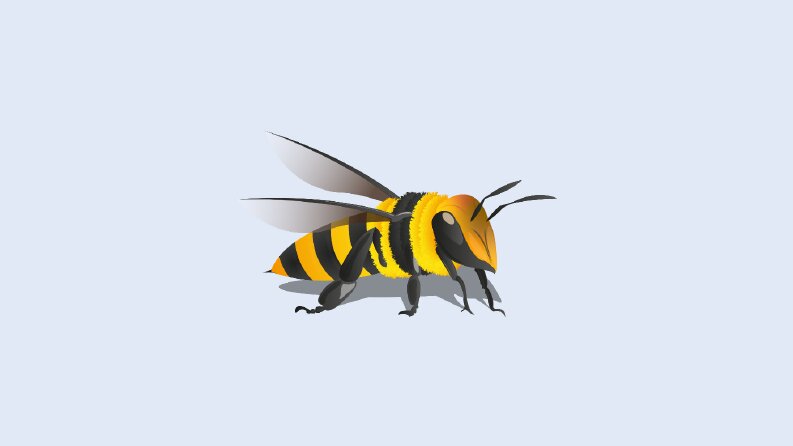 arı illustrasyon çalışması