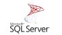 SQL Script Oluşturma Veri Düzenleme