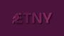 ETNY - Etnik Gıda Tedarik Web Sitesi Logo Tasarımı B2B