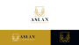 Aslan Gayrimenkul Logo Tasarımı