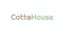 CottoHouse Logo Tasarımı