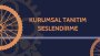 nursenoz yorumuna eklenen çalışma